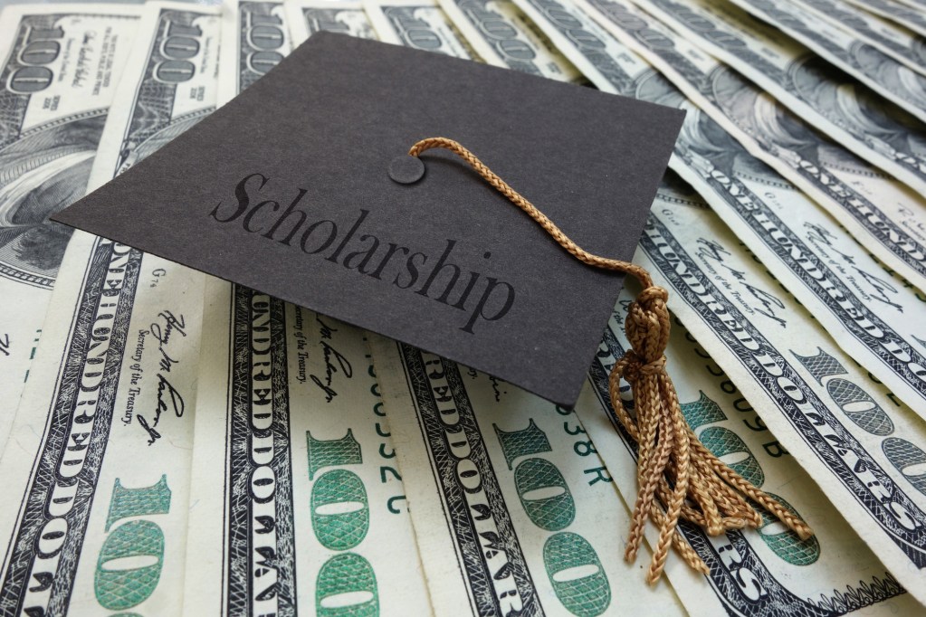 Scholarships Easier Than You Think The Stallion(02)