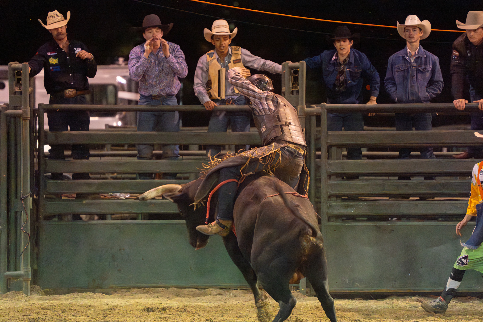 PHOTOS: PCA RODEO 2025 - The Stallion